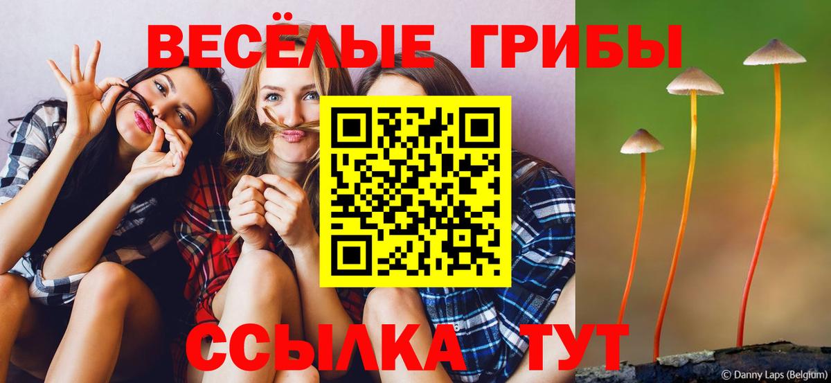 Псилоцибиновые грибы Magic Shrooms  Псилоцибиновые грибы MAGIC MUSHROOMS  Вход с VPN  Костомукша 